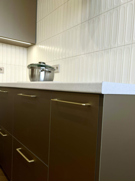 КУХНЯ В КВАРТИРЕ У ДАЧИ СО СЛОНАМИ | Интересный контент в группе Мебель.ART кухни, гардеробы и бытовая техника в ОК (Одноклассники)