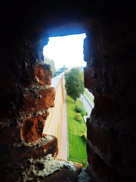 Третий миф о генеалогическом пути. | Интересный контент в группе 13 поколений в ОК (Одноклассники)