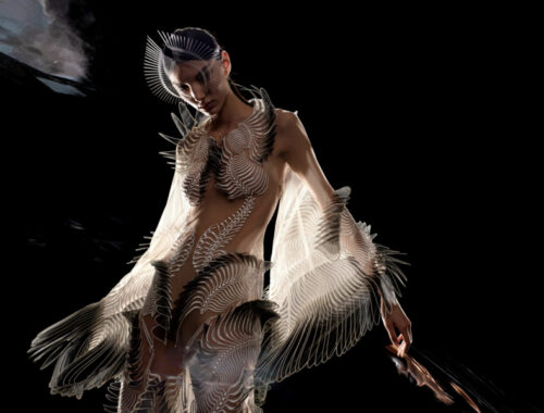 Бруклинский музей покажет более 140 работ Ирис ван Херпен Бруклинский музей покажет более 140 работ Ирис ван Херпен