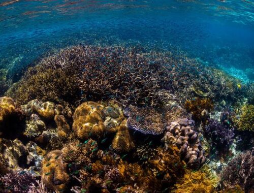 Вступает в силу международный договор о защите морской среды, меняющий правила игры Вступает в силу международный договор о защите морской среды, меняющий правила игры