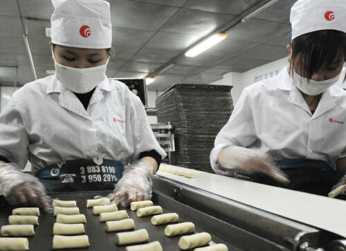 Глобальная занятость стабильная, но достойная работа в дефиците