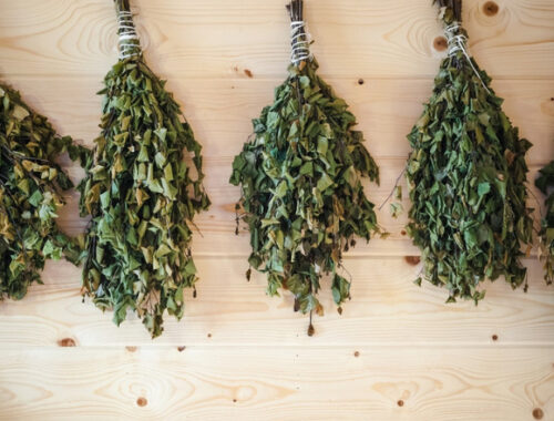 Как хранить веники для бани: подготовка и подходящие условия