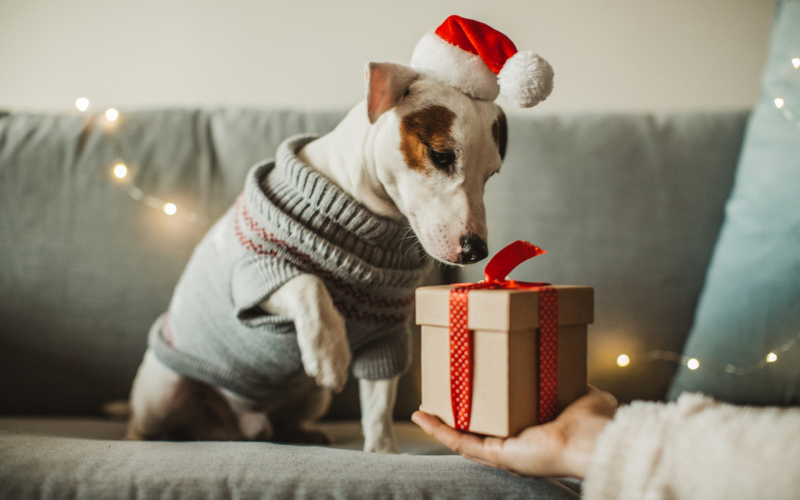 Как украсить дом к Новому году: 10 интересных идей