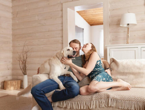 «Дом.РФ» оценил доли миллениалов и зумеров среди заказчиков частных