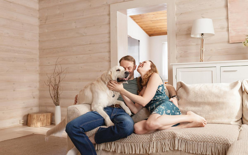 «Дом.РФ» оценил доли миллениалов и зумеров среди заказчиков частных