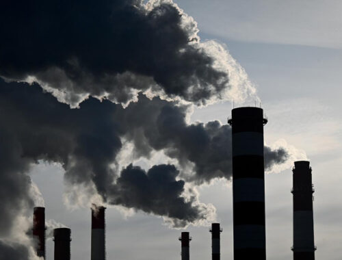 Экорейтинг: названы самые экологичные и неблагоприятные районы Москвы