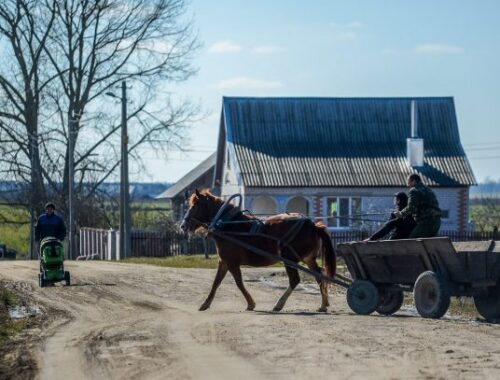 Есть ли жизнь в деревне? 11 причин, почему нужно отказаться от переезда в частный сектор Есть ли жизнь в деревне? 11 причин, почему нужно отказаться от переезда в частный сектор