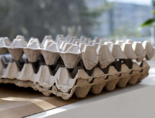 Не спешите выбрасывать: 5 предметов, которые можно повторно использовать в быту Не спешите выбрасывать: 5 предметов, которые можно повторно использовать в быту