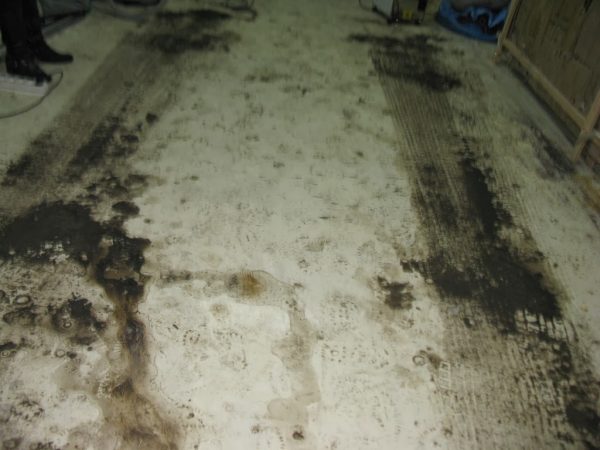 Полы в гараже — какие лучше и дешевле? Рейтинг 10 вариантов устройства