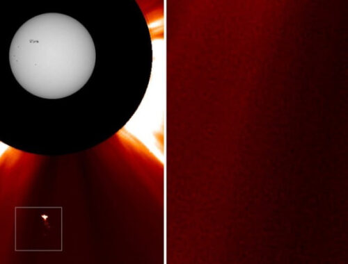 «Редкий шум или реальный физический объект?»: что известно о загадочной «птице» рядом с Солнцем «Редкий шум или реальный физический объект?»: что известно о загадочной «птице» рядом с Солнцем