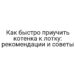 Как быстро приучить котенка к лотку: рекомендации и советы