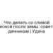 Что делать со сливой весной после зимы: советы дачникам | Удача
