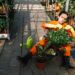 Как выбрать садовый дефибриллятор для зелени